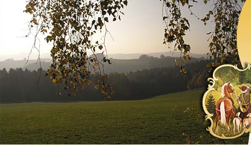Bayerischer Wald Anfahrt nach Bodenmais
